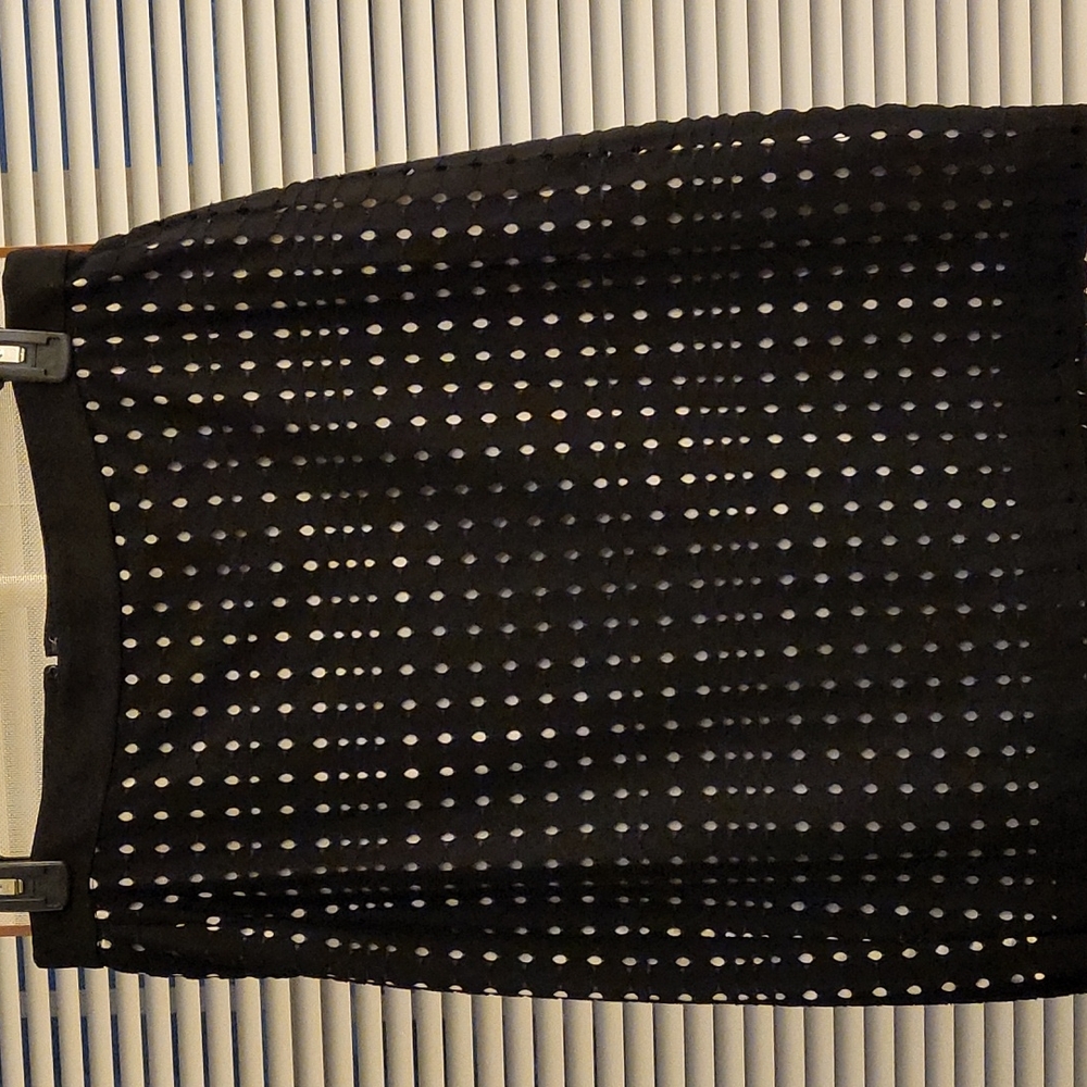 Ann Taylor Eyelit Skirt